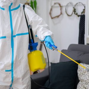 disinfecting cleanup services, American remediation Pros